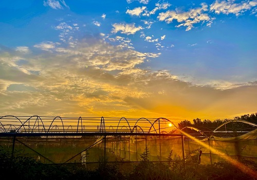 1662103631786811.png image.png