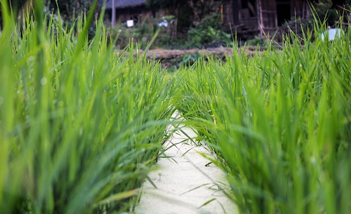 1669785727116882.png image.png