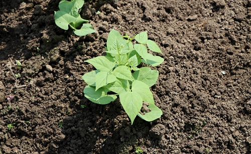 1670395877141880.png image.png