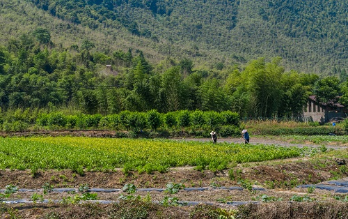 1670831184192367.png image.png