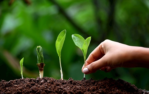 1671594064888078.png image.png