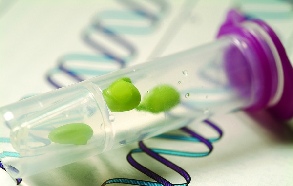 種子發(fā)芽所需要的條件，種子發(fā)芽箱都可以提供嗎？