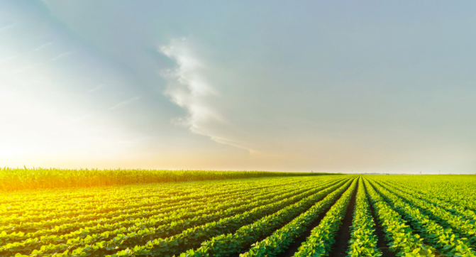 土壤PH測定儀到底是怎么用的？（土壤ph檢測儀的使用方法）