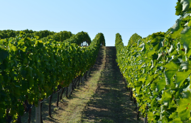 土壤團粒結(jié)構(gòu)是個什么概念？土壤團粒結(jié)構(gòu)分析儀測什么？