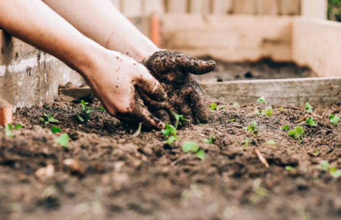 土壤墑情監(jiān)測系統(tǒng)與普通儀器對比有何優(yōu)勢？(土壤墑情監(jiān)測系統(tǒng)的作用)