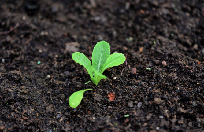 一臺多參數(shù)土壤測量儀搞定多個項(xiàng)目（多參數(shù)測量儀器樣品檢測步驟）