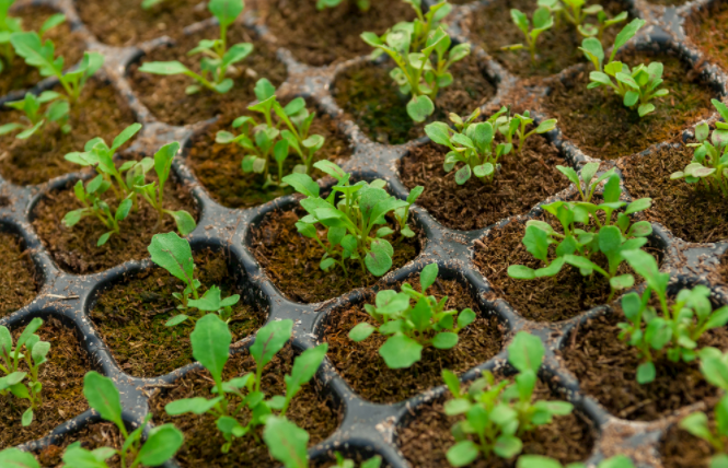 便攜式土壤水分速測儀使用注意要點(diǎn)）便攜式土壤水分速測儀實(shí)現(xiàn)田間流動檢測