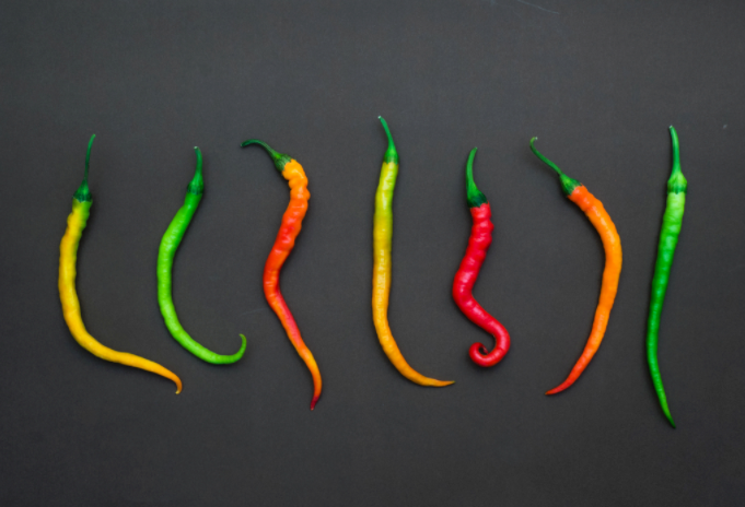 如何評價(jià)一種辣椒有多辣?？辣椒素檢測儀的工作原理及介紹