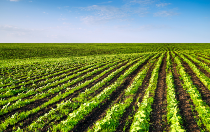 檢測土地質(zhì)量的必需利器！看看土壤微量元素測定儀發(fā)揮怎樣的作用！