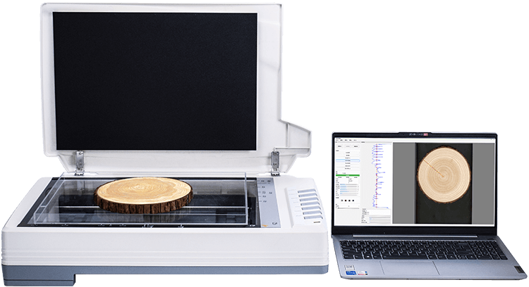 樹木年輪分析儀