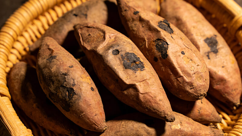 農(nóng)藥殘留檢測儀準確鎖定“毒紅薯”元兇，克百威、甲拌磷檢測能力再升級