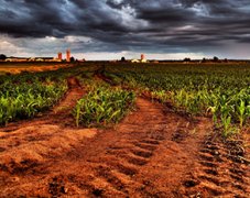 土壤農(nóng)殘量用農(nóng)藥殘留檢測(cè)設(shè)備檢測(cè)