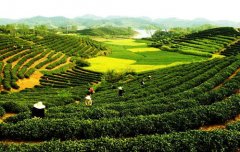 農(nóng)產(chǎn)品農(nóng)藥殘留快速檢測設備農(nóng)殘檢測