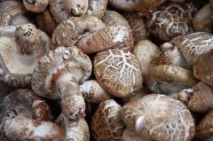 全自動(dòng)農(nóng)藥殘留快速檢測儀的使用