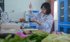 蔬菜農(nóng)藥殘留快速檢測儀器哪個準確